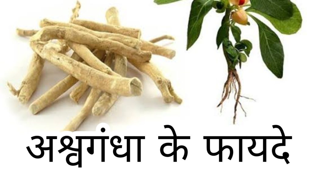 ashwagandha khane ke fayde