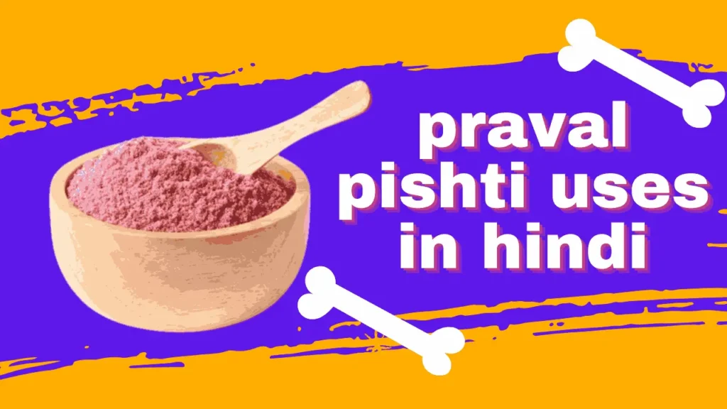 प्रवाल पिष्टी लाभकारी उपयोग,लेने का तरीका- praval pishti uses in hindi ...