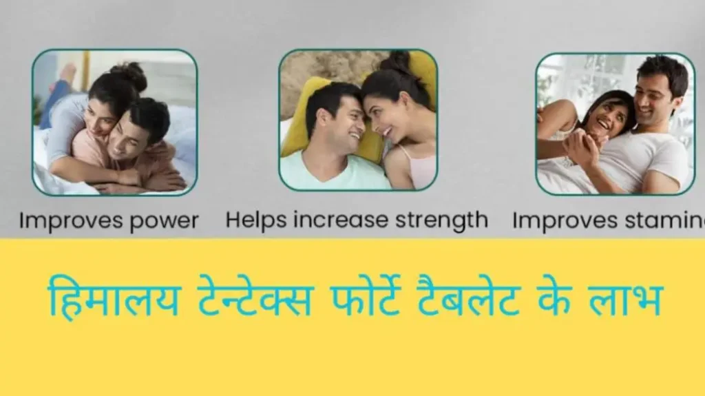 हिमालय टेंटेक्स फोर्ट का उपयोग कैसे करें